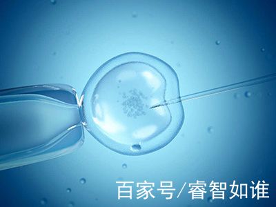 林主任