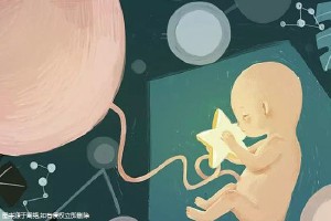 代生生男孩代怀中介
